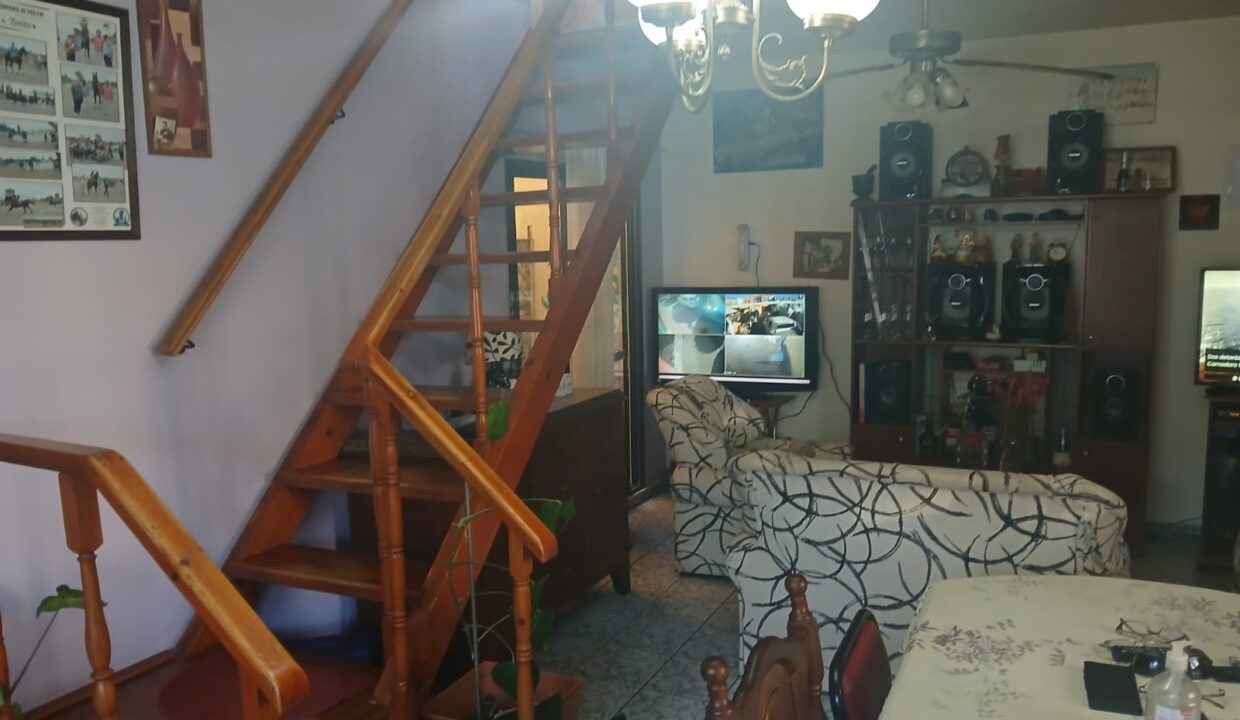 domec 5